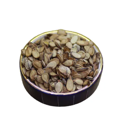 تخمه محبوبی شکفته