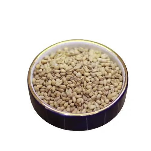 گندم شیر بوداده با طعمی شیرین و مغذی برای مصرف در طول روز.